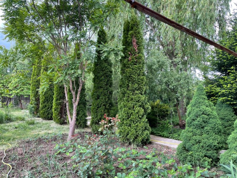 Ленина 856