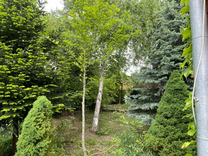 Ленина 856