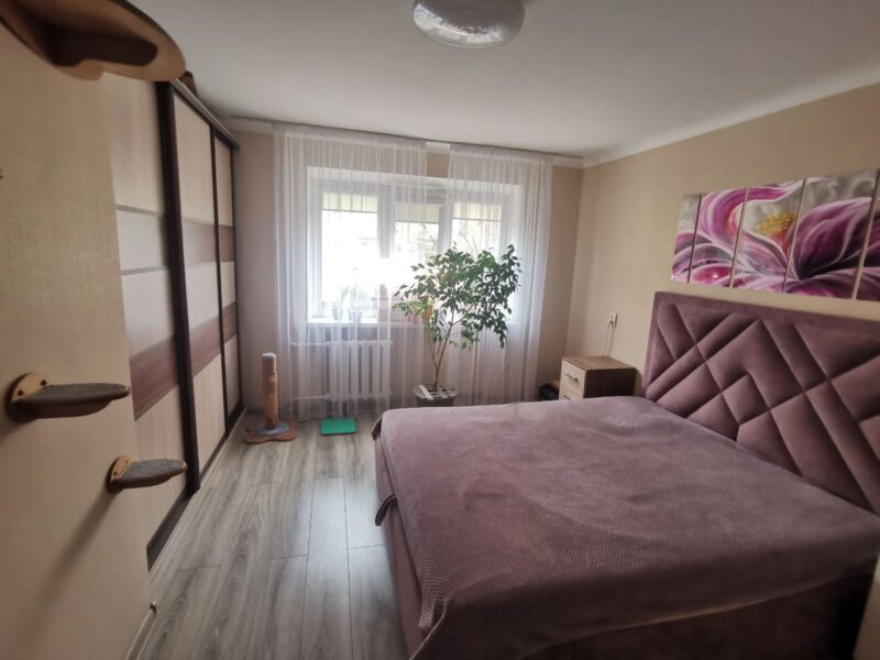 Мира 44