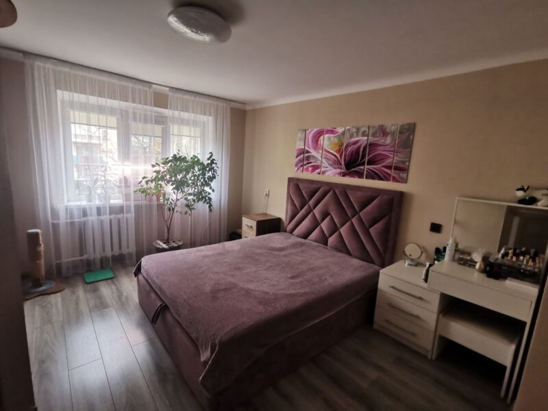 Мира 44