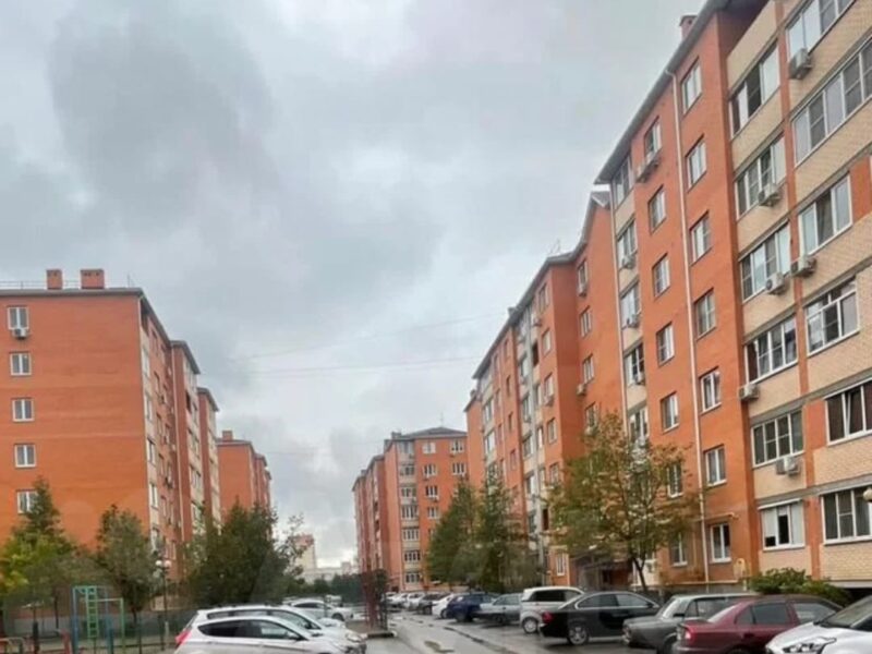 Березовый 7/37