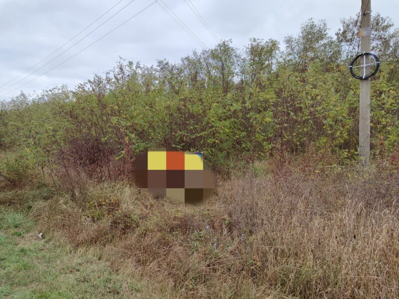 Новодмитриевская