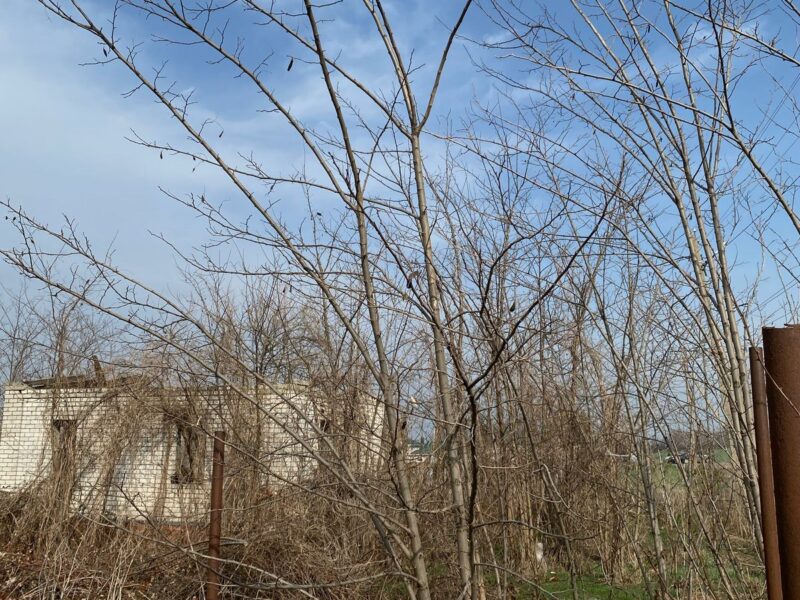хутор Иногородне-Малеваный, Южная 49а