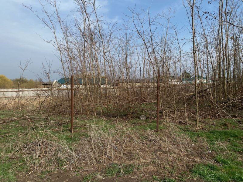 хутор Иногородне-Малеваный, Южная 49а