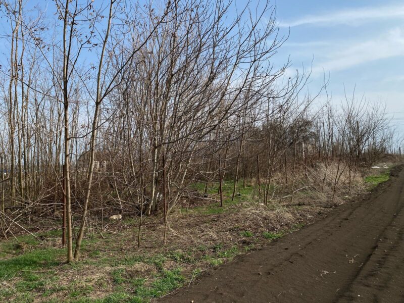 хутор Иногородне-Малеваный, Южная 49а