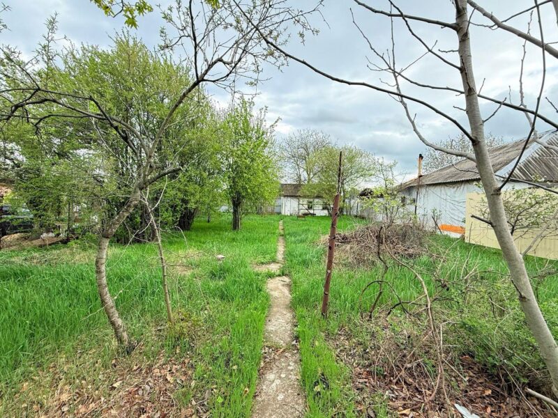 СТ Родник, Клубничная 377