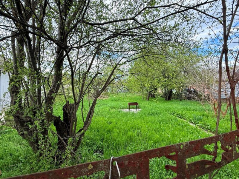 СТ Родник, Клубничная 377