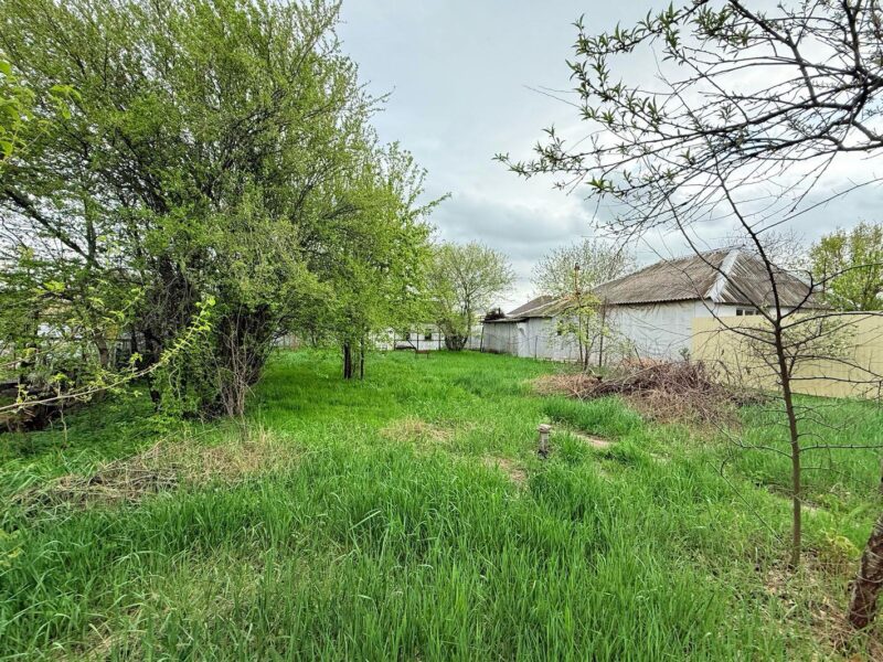 СТ Родник, Клубничная 377