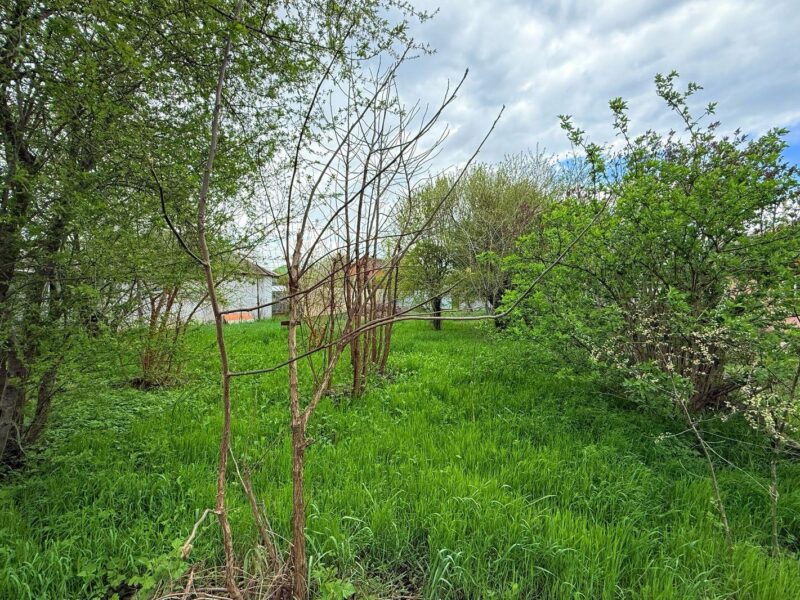 СТ Родник, Клубничная 377