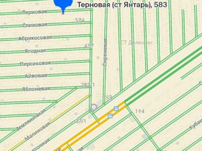 СТ Янтарь, Терновая ул.