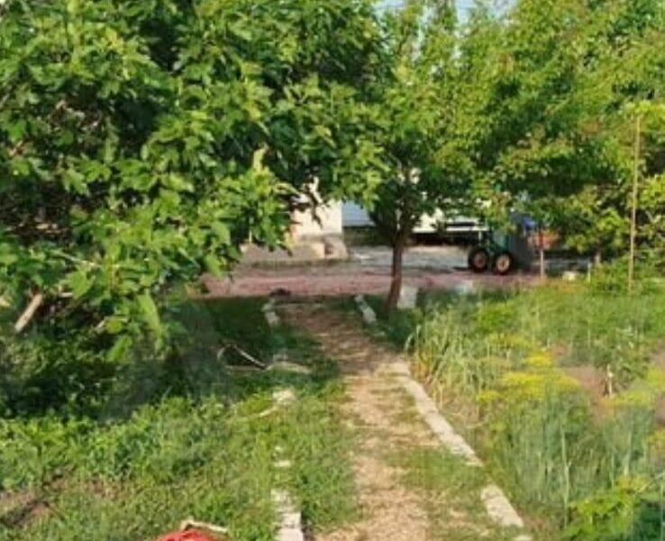 Плодородный, Александровская ул.