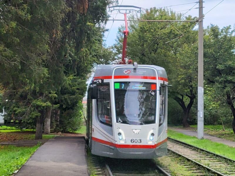Доватора 73