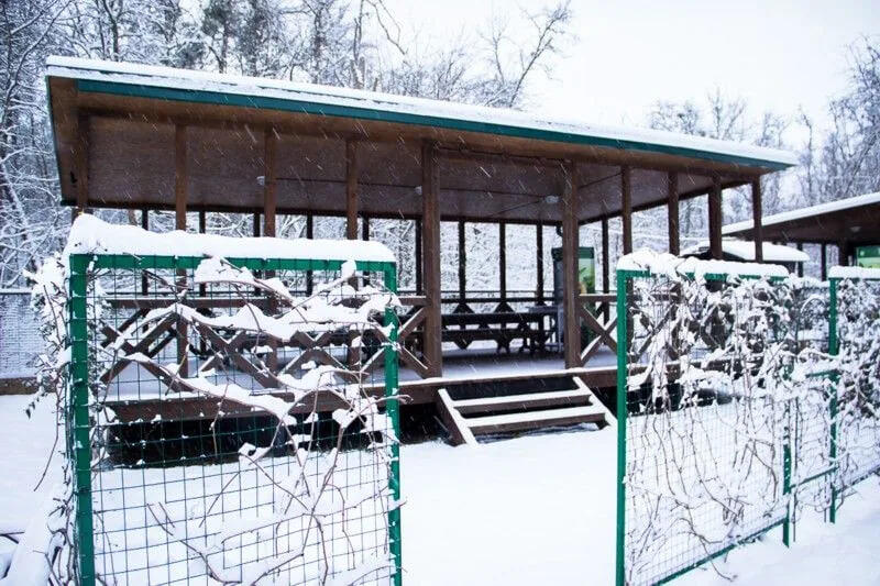 Станица Крепостная, СНТ Лесная Быль