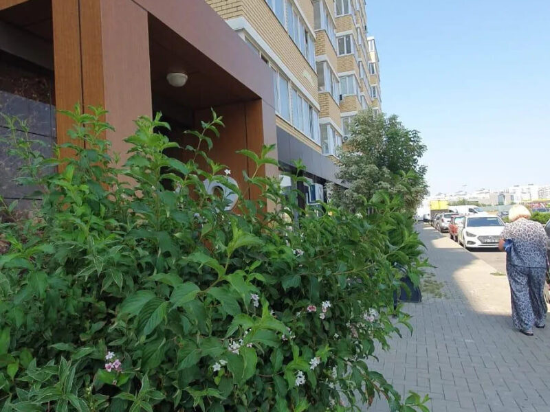 Красных Партизан 1/4 к12