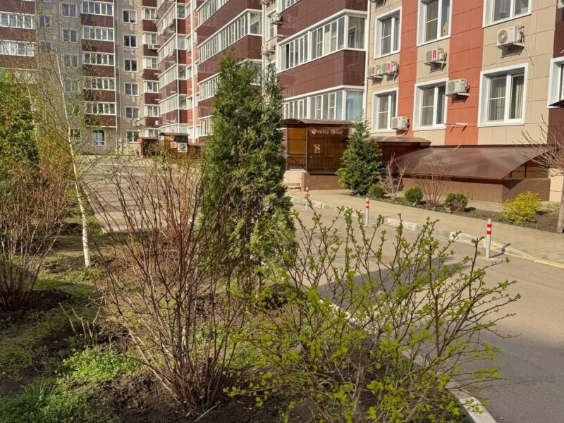 Краеведа Соловьева 6 к2