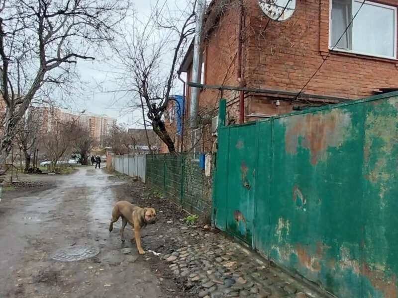 Курортная ул.