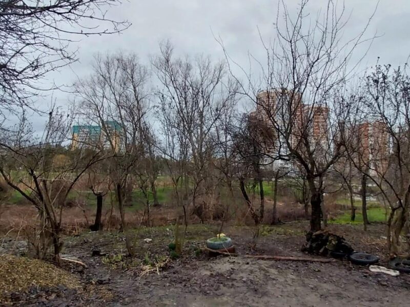 Курортная ул.