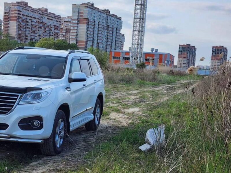 Мецената Лю Трахова ул.