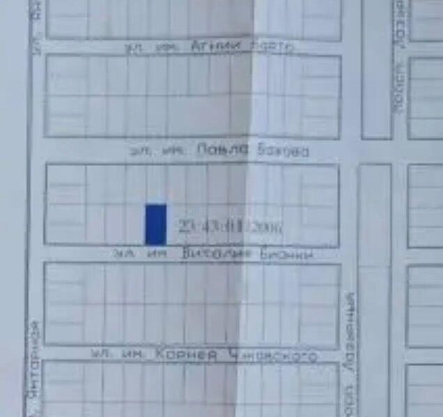 Виталия Бианки 7