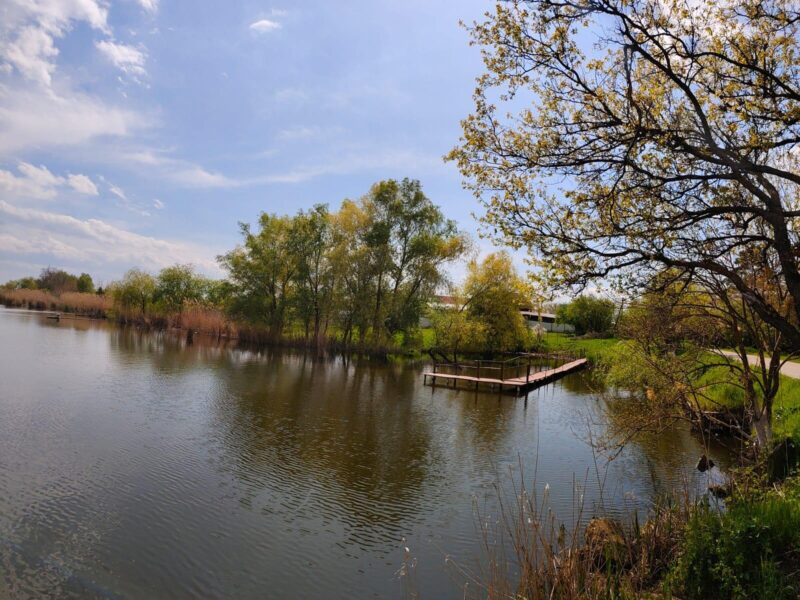 С. Красносельское, Российская ул.