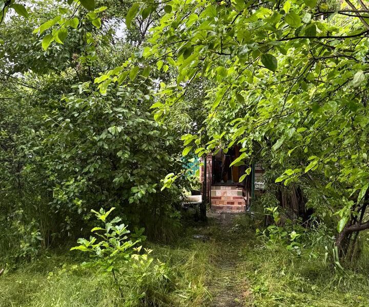 СТ Железнодорожник
