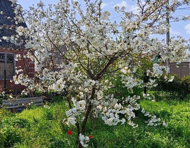 СТ Калинина, Первомайская ул.