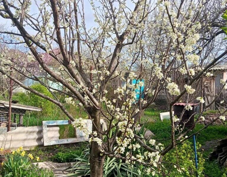 СТ Калинина, Первомайская ул.
