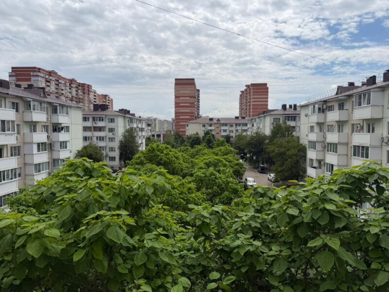 Душистая 71