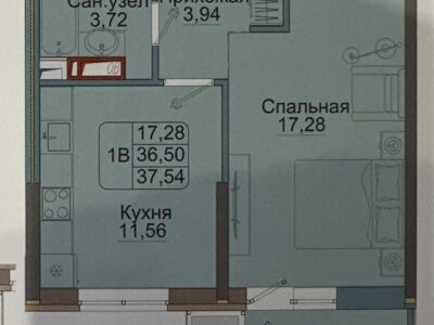 Репина 5 лит 1
