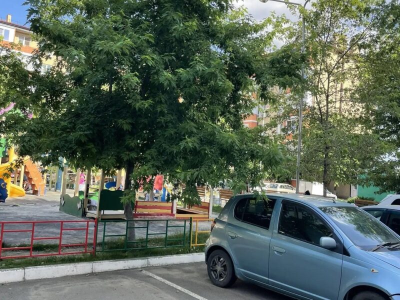 Куликова поля 2