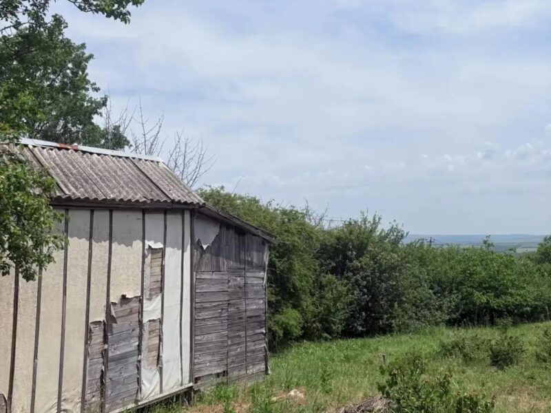 г. Анапа, СНТ Мечта