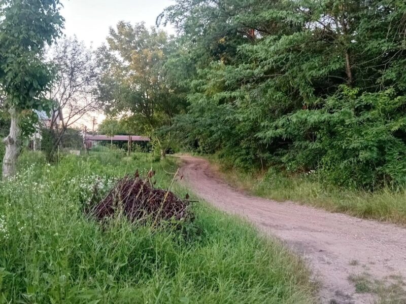 СНТ Садовод