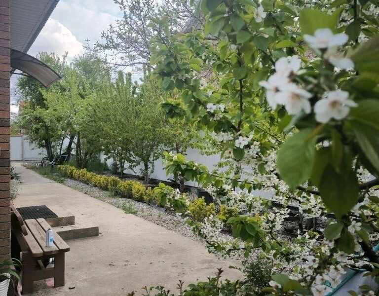 Ул. Центральная