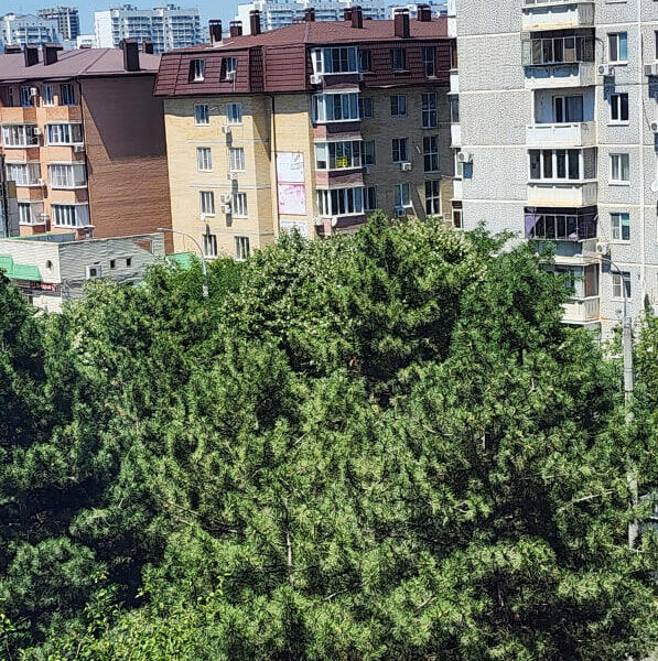 Восточно-Кругликовская 55
